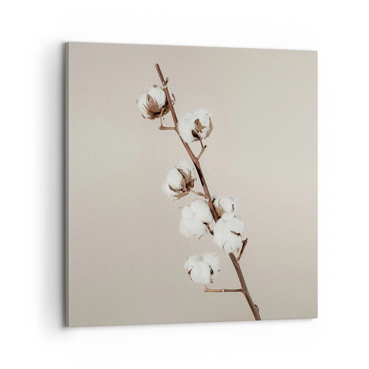 Obraz na płótnie - U źródła miękkości - 60x60 cm