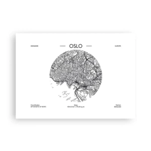 Plakat - Anatomia Oslo - 70x50 cm