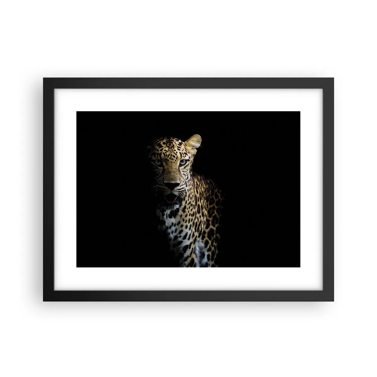 Plakat w czarnej ramie - Mroczne piękno - 40x30 cm
