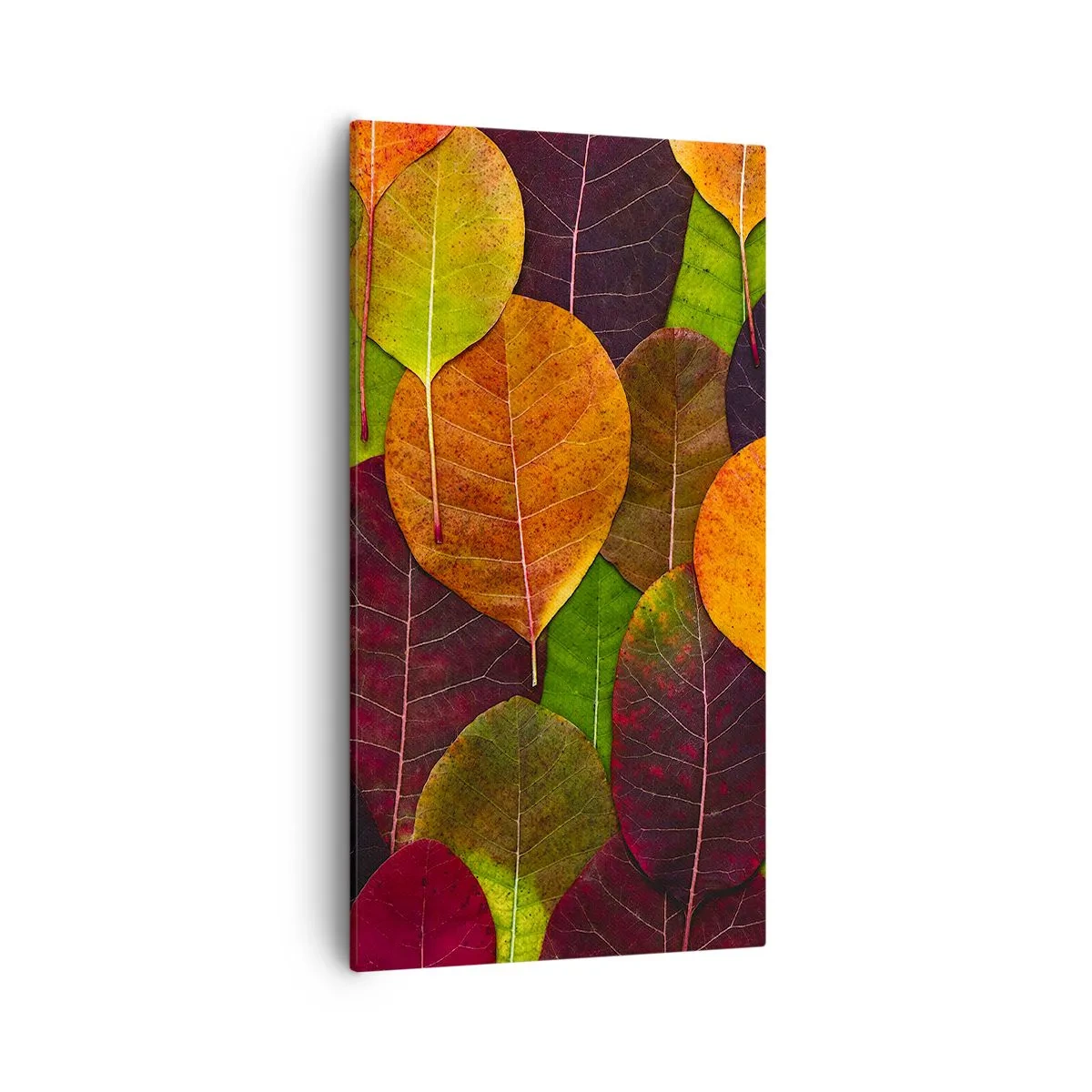 Obraz na płótnie - Jesienna mozaika - 55x100 cm