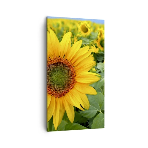 Obraz na płótnie - Rozgorzały setki słońc - 45x80 cm