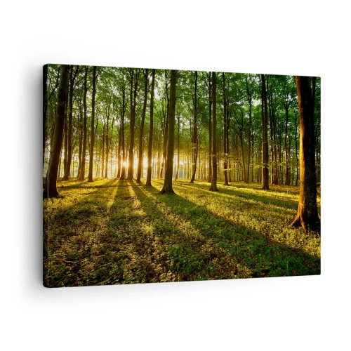 Obraz na płótnie - Zachodzące słońce w lesie liściastym - 70x50cm - Fotografia wszystkich wiosen - Nowoczesna dekoracja ścienna do salonu i sypialni ARTTOR