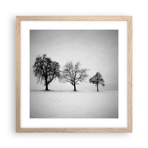 Plakat w ramie jasny dąb - O czym śnią? - 40x40 cm