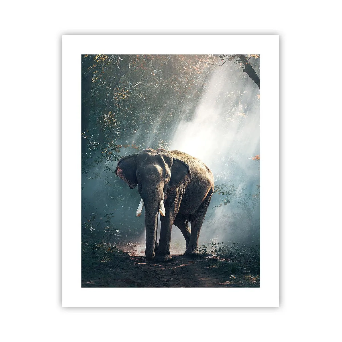 Plakat - Spokojna przechadzka - 40x50 cm