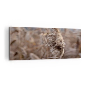 Obraz na płótnie - Czas odlecieć z wiatrem - 100x40 cm