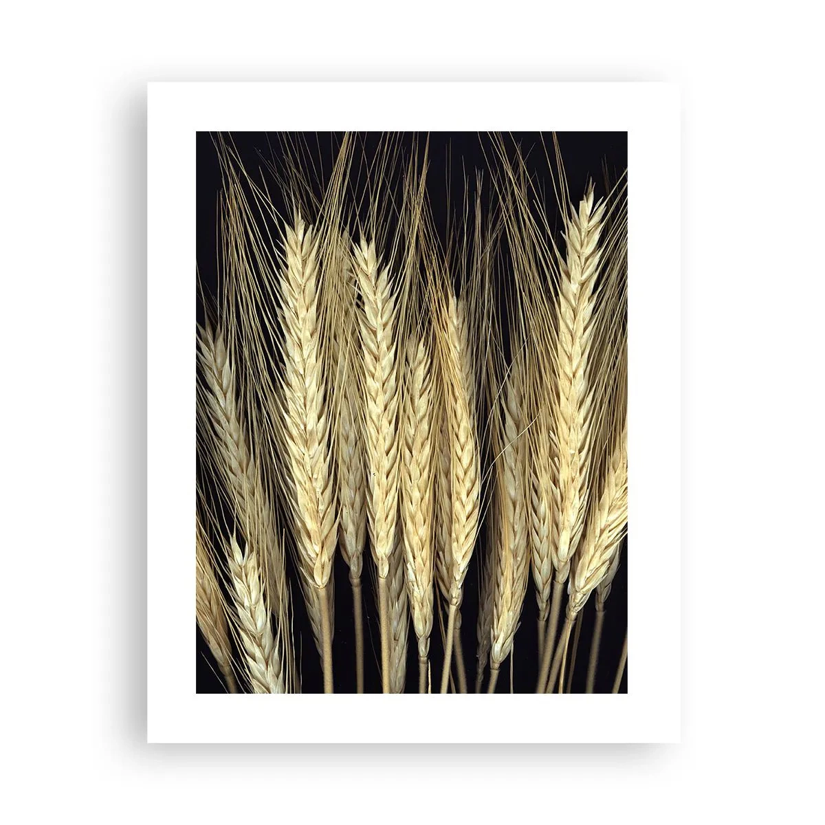 Plakat - Rustykalna magia - 40x50 cm