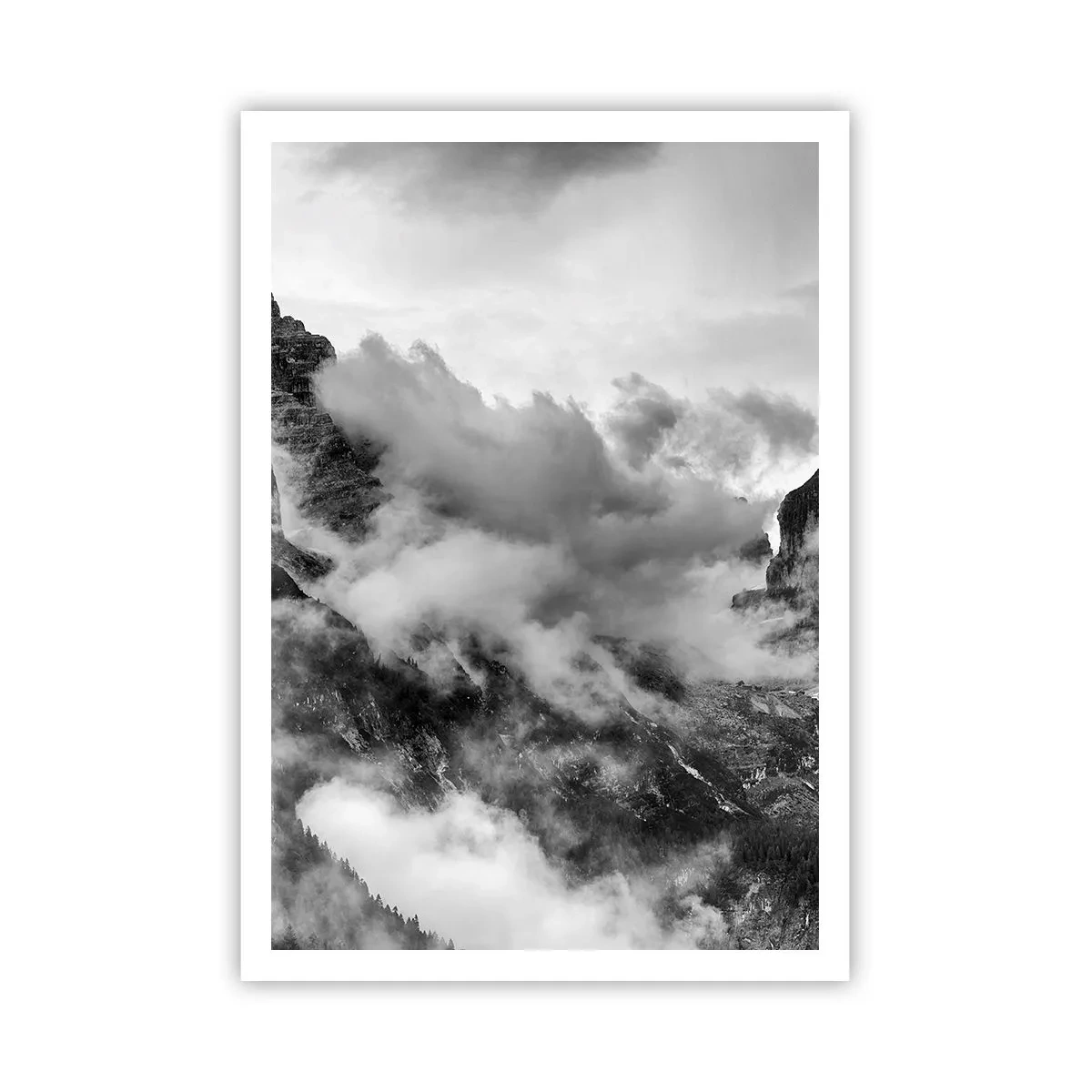 Plakat - Piękne i okrutne - 70x100 cm