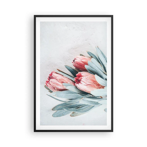 Plakat w czarnej ramie - Zawstydzone własną urodą - 61x91 cm