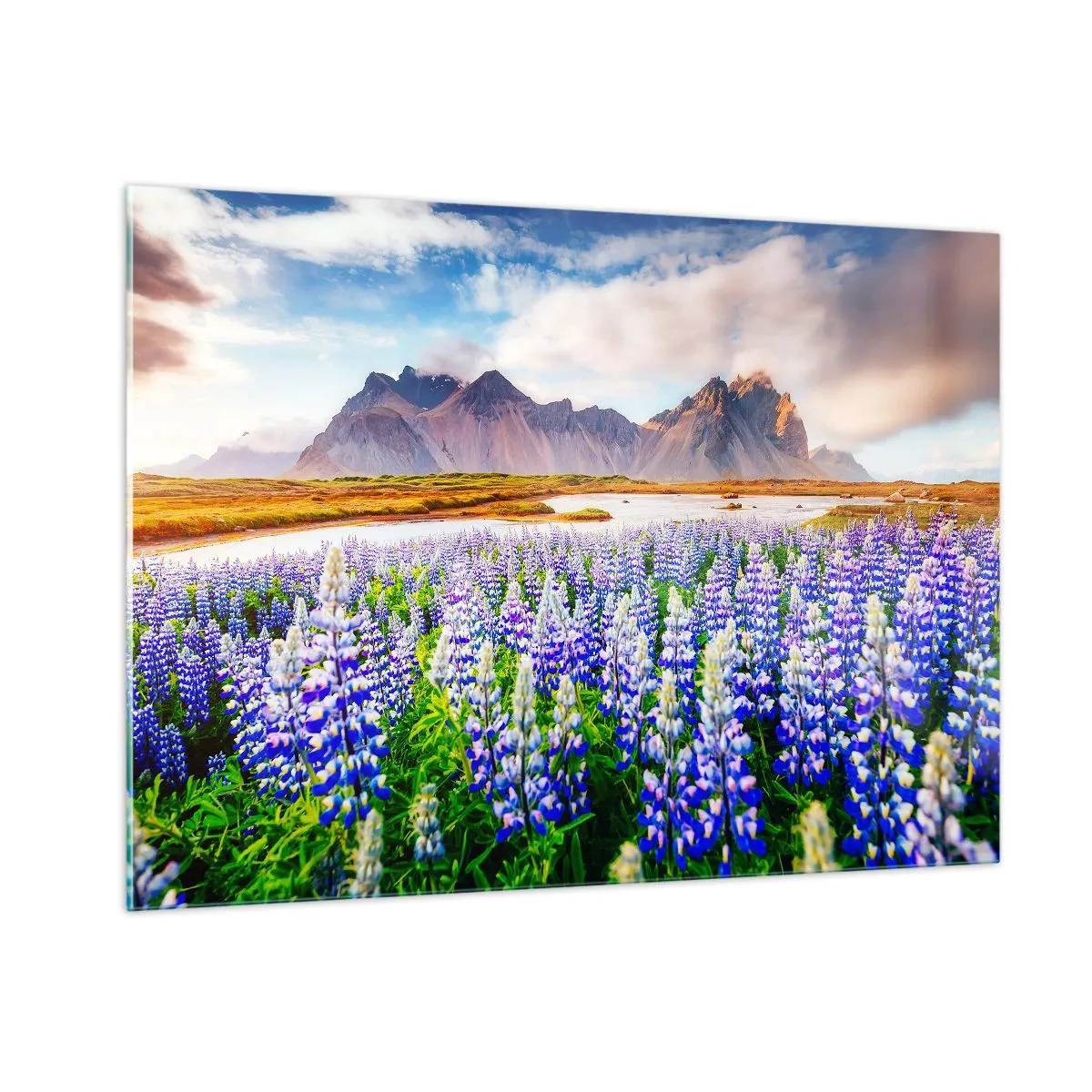 Obraz na szkle - Górski krajobraz z kwitnącą łąką i majestatycznymi szczytami - 100x70cm - Siła i surowość obok łagodności - Nowoczesna dekoracja ścienna do salonu, kuchni i sypialni ARTTOR