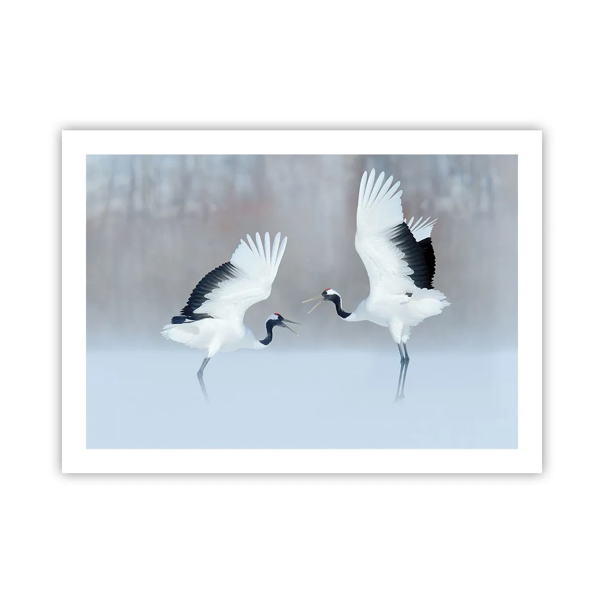 Plakat - Taniec we mgle - 70x50 cm