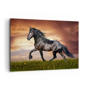 Obraz na płótnie - Czarny koń galopujący na tle zachodzącego słońca - 120x80cm - Czarny książę - Nowoczesna dekoracja ścienna do salonu, kuchni i sypialni ARTTOR