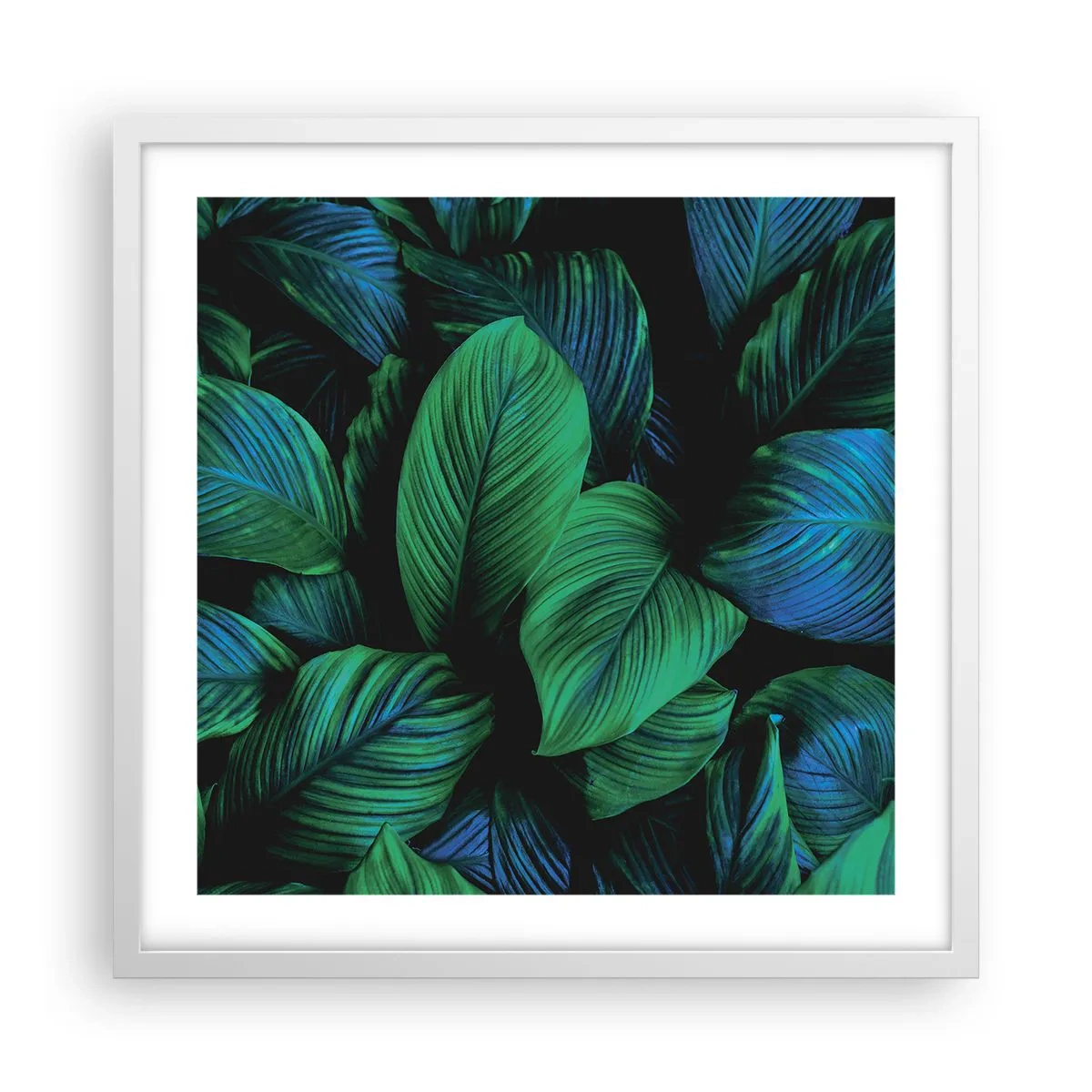 Plakat w białej ramie - W zielonym tłumie - 50x50 cm