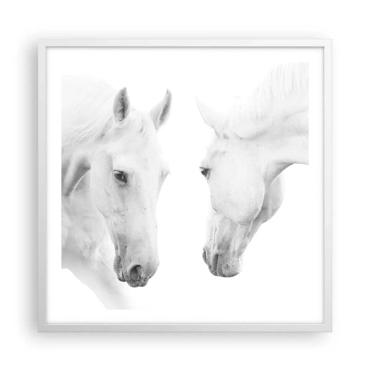 Plakat w białej ramie - Czy to jest przyjaźń…? - 60x60 cm
