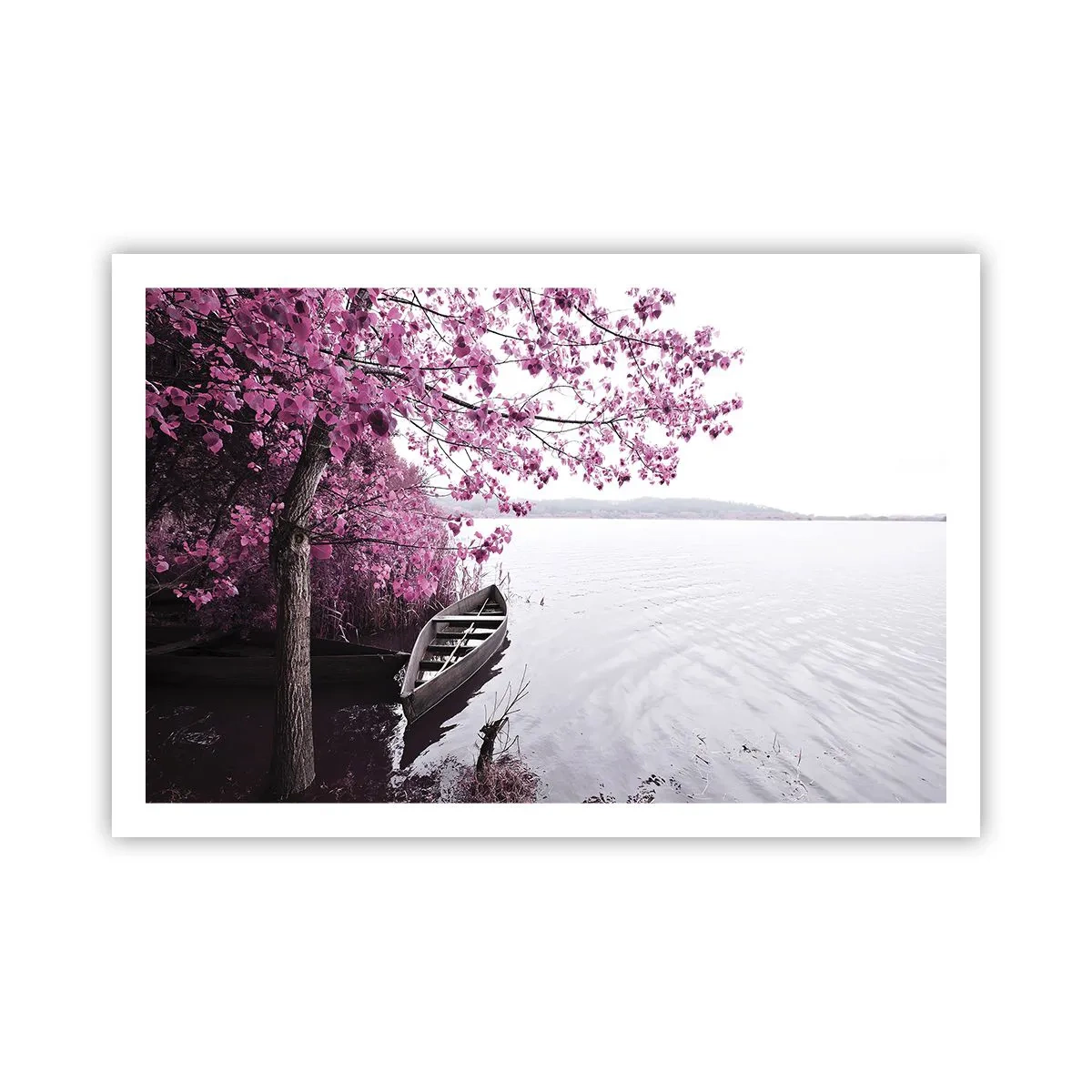 Plakat - W różowej ciszy - 91x61 cm