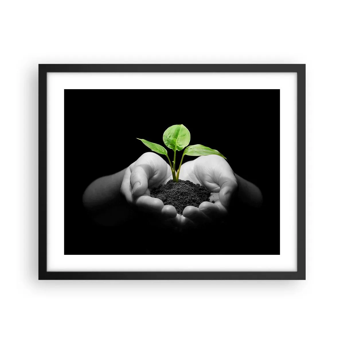 Plakat w czarnej ramie - Kocham naturę, chronię ją - 50x40 cm
