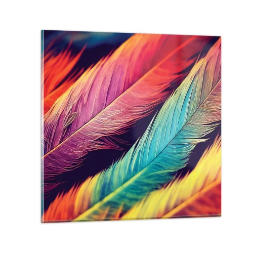 Obraz na szkle - Pierzasta tęcza - 70x70 cm