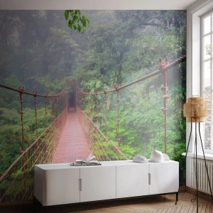 Fototapeta Standard Eco - Zawieszony nad koronami - Krajobraz, Dżungla, Kostaryka - 250x175 cm