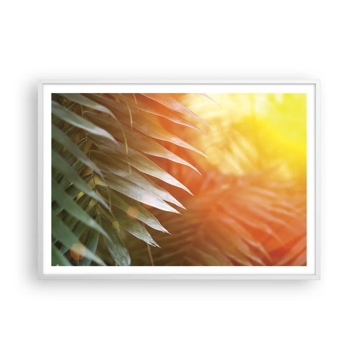 Plakat w białej ramie - Poranek w dżungli - 100x70 cm