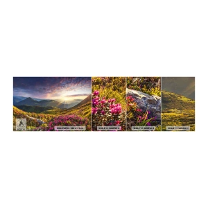 Fototapeta Próbka Samoprzylepna Deluxe Sticker - Świeżość górskiego poranka - Krajobraz, Góry, Kwiaty - 100x30 cm