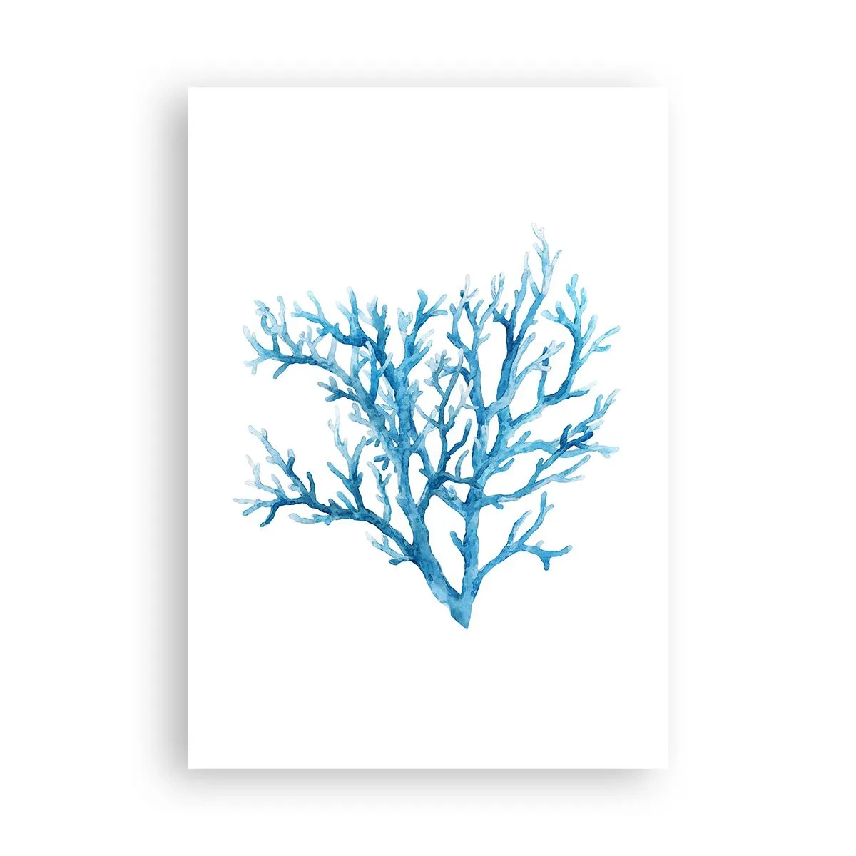 Plakat - Morski filigran - 70x100 cm