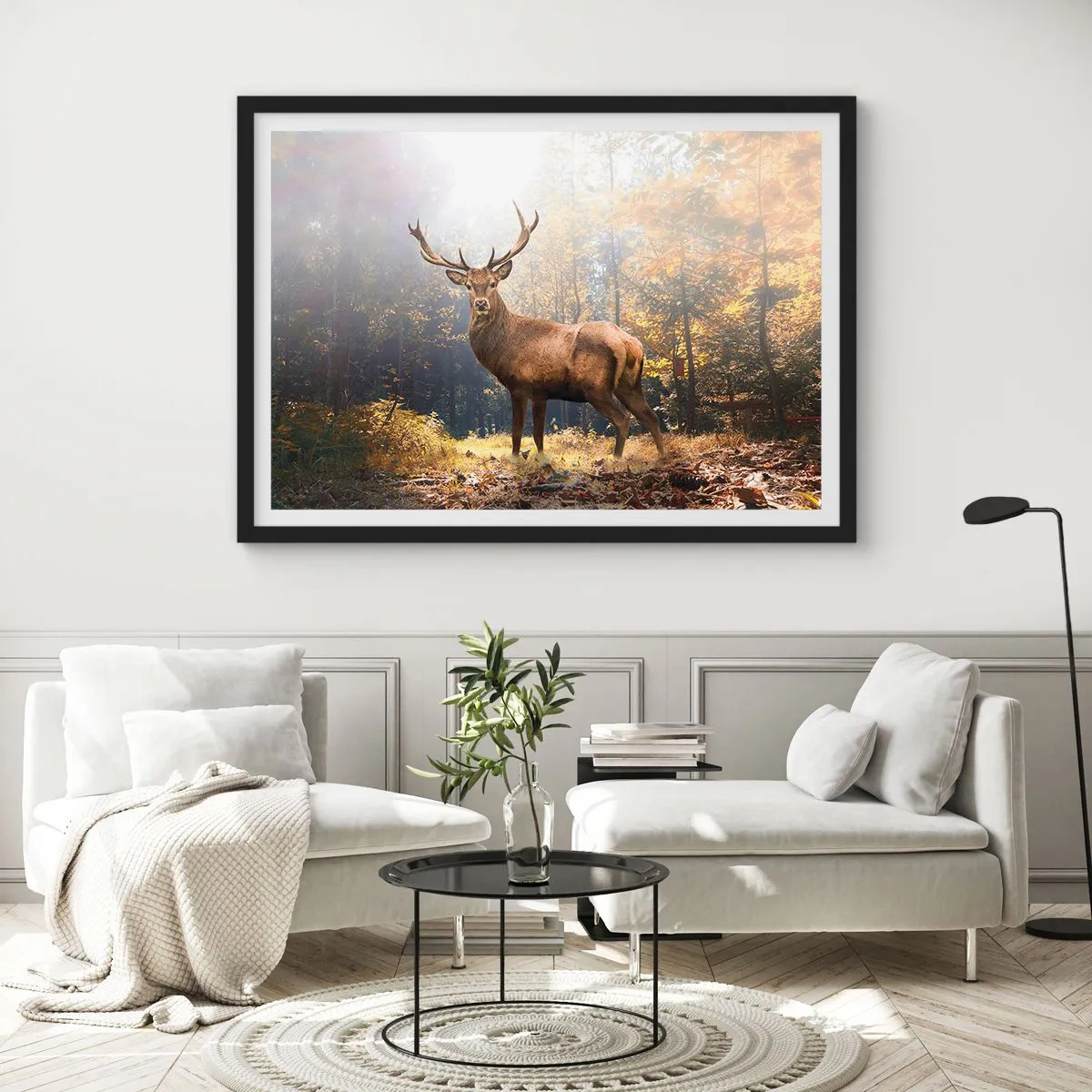 Plakat w czarnej ramie - W pełnym majestacie - 40x30 cm