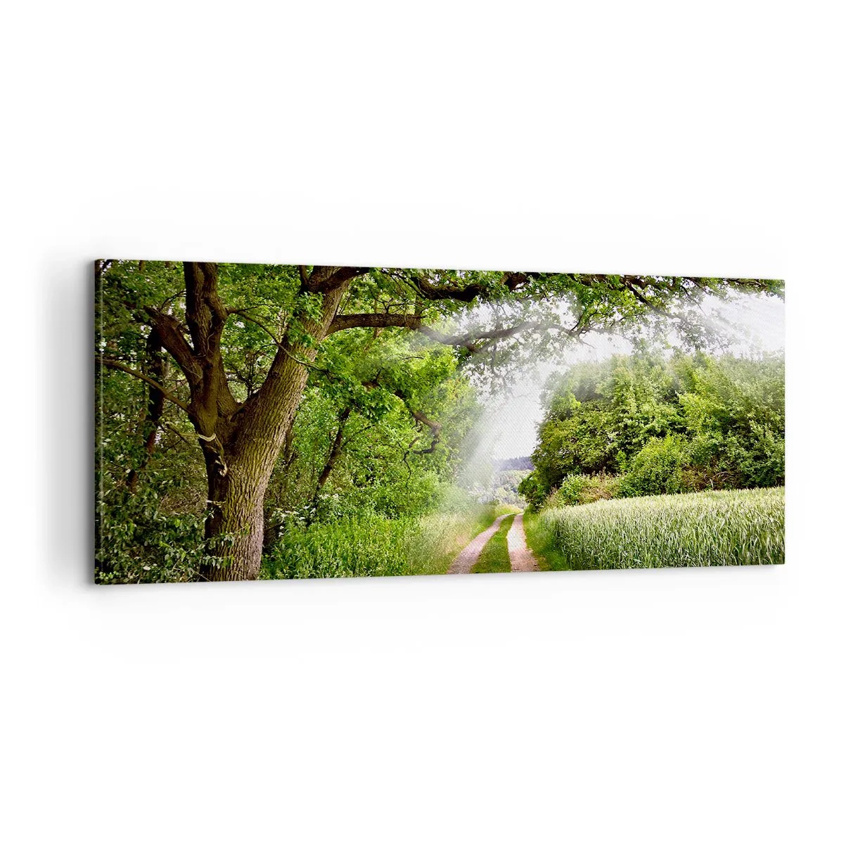 Obraz na płótnie - Et in Arcadia ego - 100x40 cm