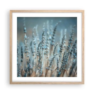 Plakat w ramie jasny dąb - Pachnący łan - 50x50 cm