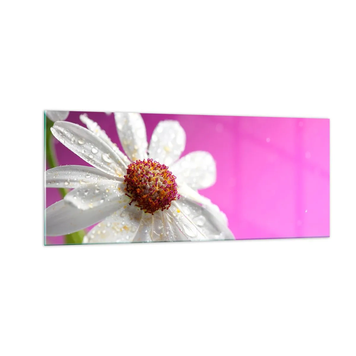 Obraz na szkle - Skromny w swojej urodzie - 100x40 cm