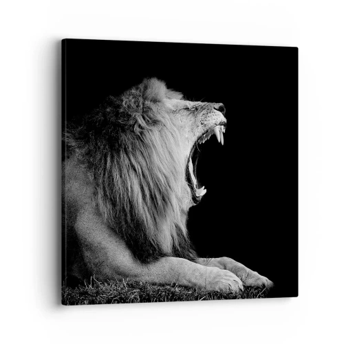 Obraz na płótnie - Bez żadnych wątpliwości - 40x40 cm