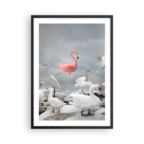 Plakat w czarnej ramie - Różowy flaming w otoczeniu białych ptaków na tle nieba - 50x70cm - Skąd się tu wziąłem? - Nowoczesna dekoracja ścienna do salonu i sypialni ARTTOR