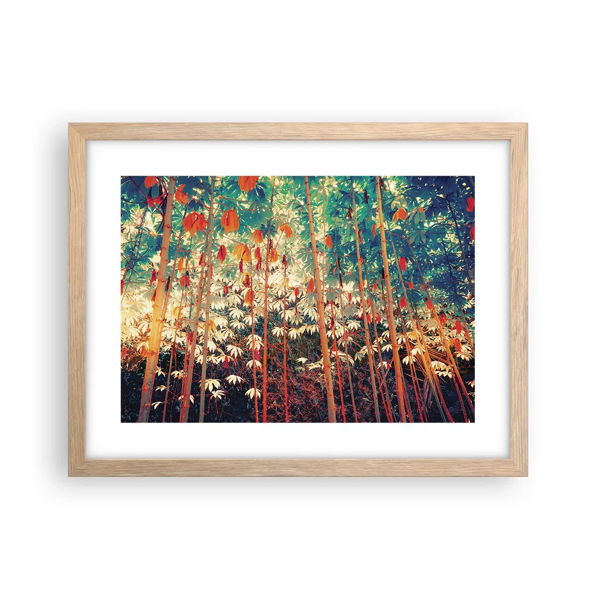 Plakat w ramie jasny dąb - Tajemne życie liści - 40x30 cm