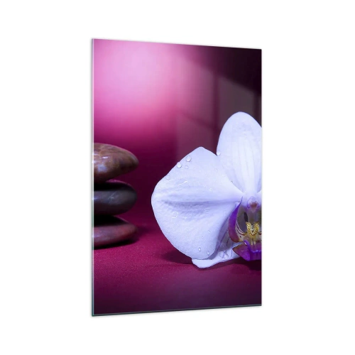 Obraz na szkle - Biała orchidea i kamienie na różowym tle - 70x100cm - Studium świeżości w fiolecie - Nowoczesna dekoracja ścienna do salonu i sypialni ARTTOR
