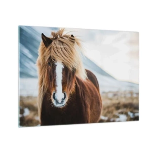 Obraz na szkle - Koń na tle górskiego krajobrazu zimą - 70x50cm - Czujesz wolność? - Nowoczesna dekoracja ścienna do salonu i sypialni ARTTOR