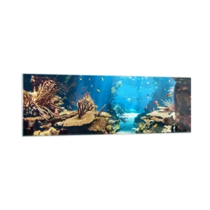 Obraz na szkle - Podwodny świat z rafą koralową i rybami - 160x50cm - Nawet ci się nie śniło - Nowoczesna dekoracja ścienna do salonu i sypialni ARTTOR