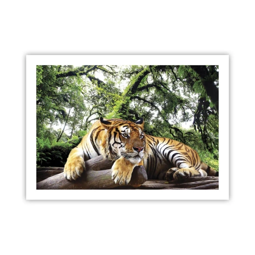 Plakat - Z wyrazami szacunku - 70x50 cm