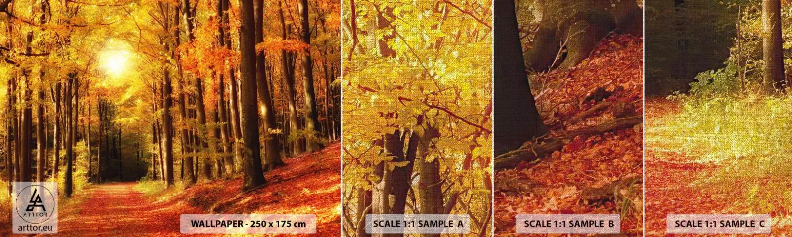 Fototapeta Próbka Premium Canvas - Złota jesień na leśnej drodze - Jesień, Las, Krajobraz - 100x30 cm