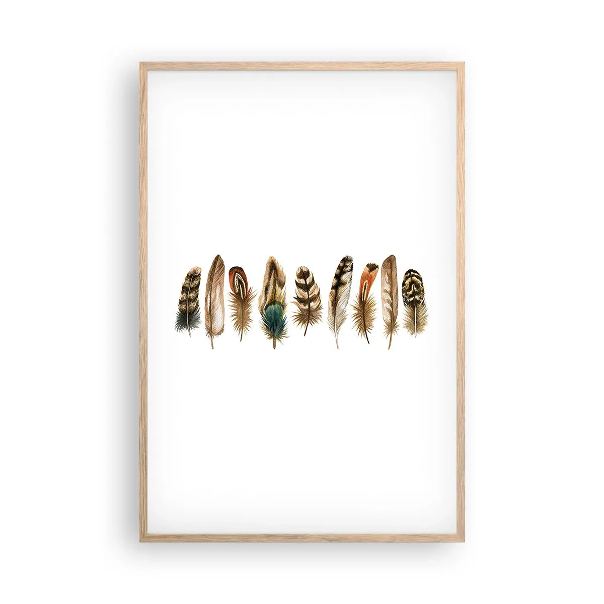 Plakat w ramie jasny dąb - Pierzasta wariacja - 61x91 cm