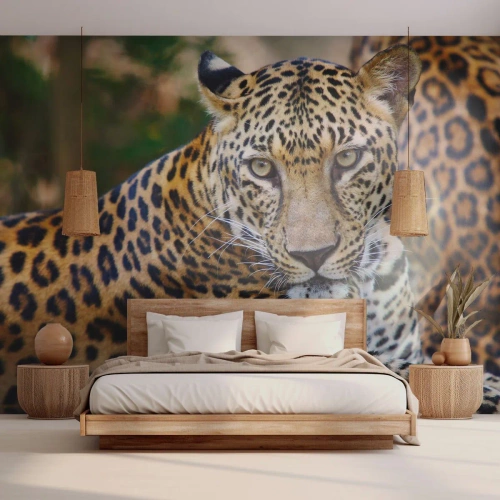 Fototapeta Premium Canvas - Jaguar odpoczywający w naturalnym otoczeniu z zielonym tłem. - 100x70cm - Dziki i spokojny - Nowoczesna dekoracja ścienna do salonu i sypialni ARTTOR