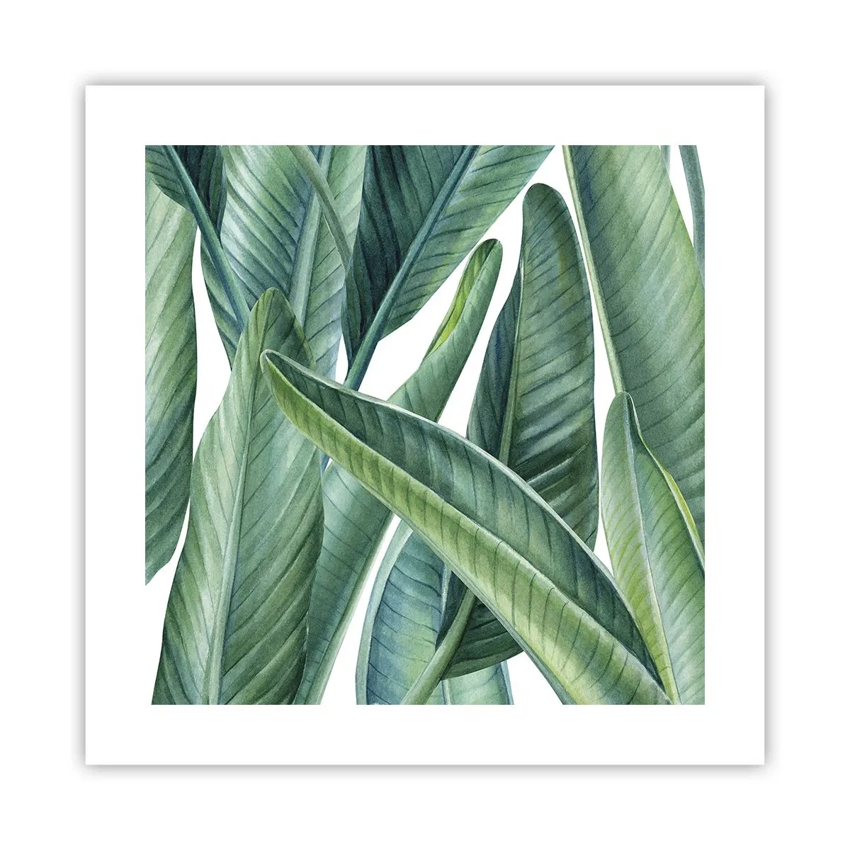 Plakat - Zieleń sama w sobie - 40x40 cm