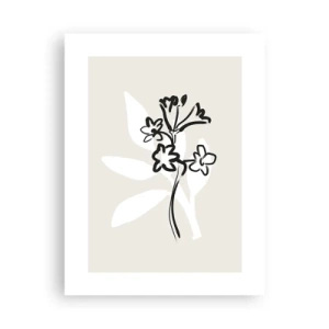 Plakat - Szkic do zielnika - 30x40 cm