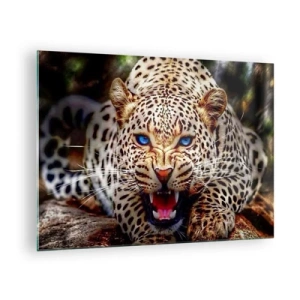 Obraz na szkle - Groźny lampart o niebieskich oczach w dzikiej naturze - 70x50cm - Złość piękności nie szkodzi - Nowoczesna dekoracja ścienna do salonu i sypialni ARTTOR