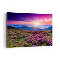 Vászonkép - A gyógynövények friss fürtjei illatoztak a mezőkről - 100x70 cm