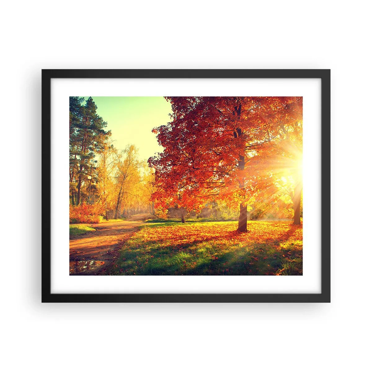 Plakat w czarnej ramie - Rude jest piękne - 50x40 cm