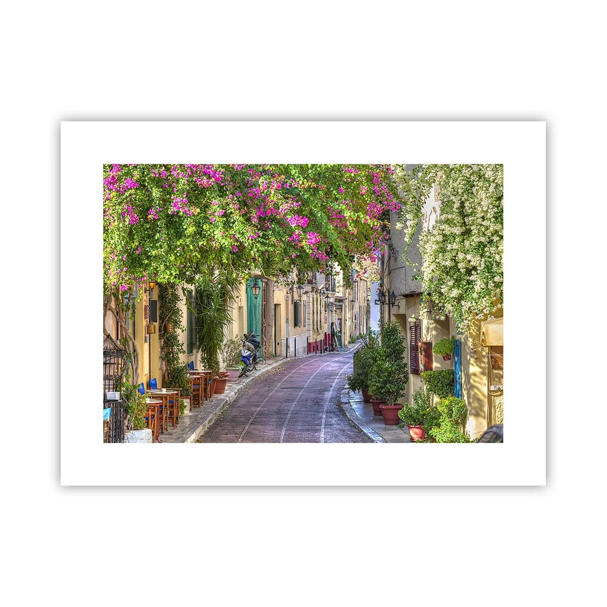 Plakat - Kwitnący zaułek - 40x30 cm