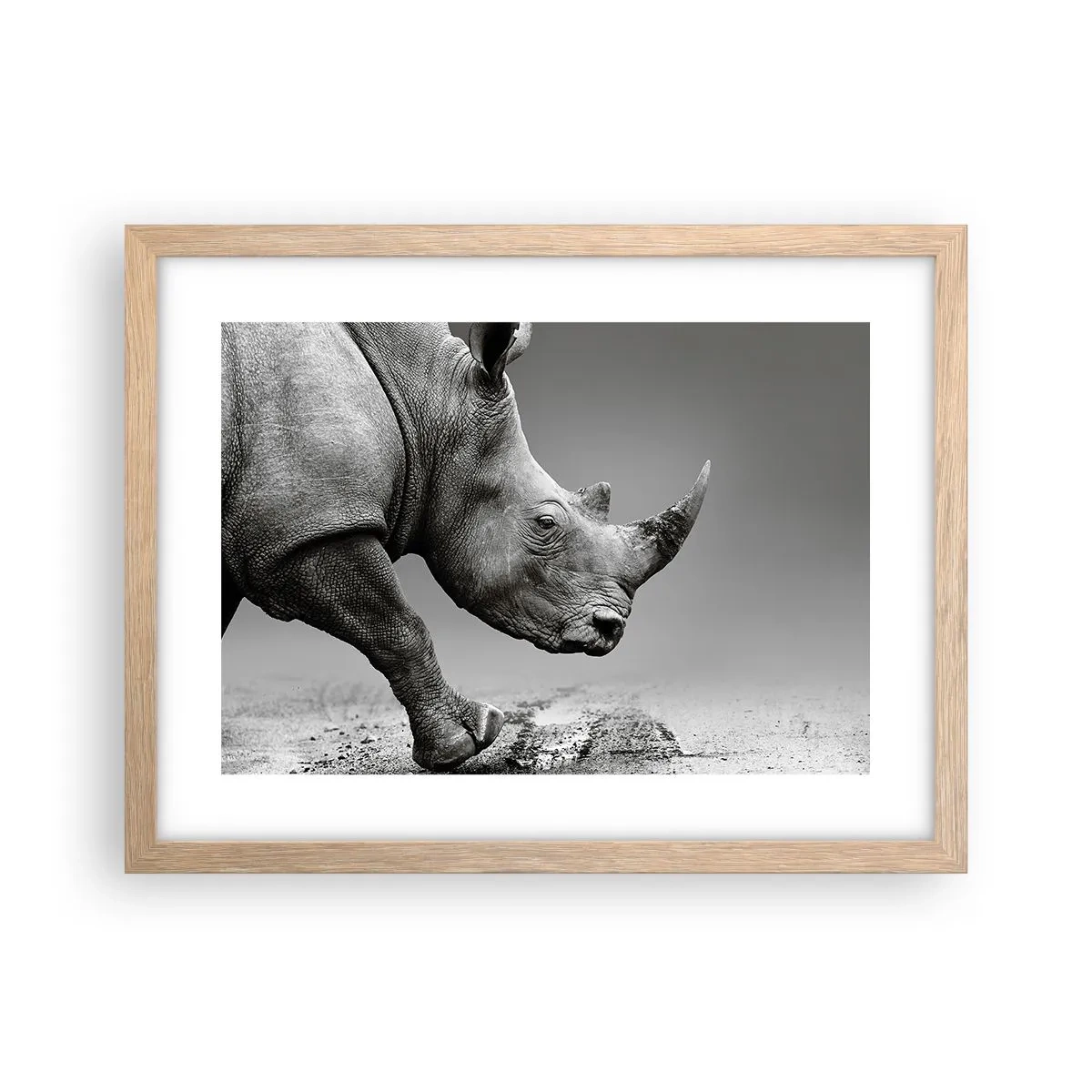 Plakat w ramie jasny dąb - Niepowstrzymana siła - 40x30 cm