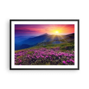 Plakat w czarnej ramie - Kwitnąca łąka z widokiem na góry podczas zachodu słońca - 70x50cm - … A dokoła pachnie kosodrzewina i wonieją zioła - Nowoczesna dekoracja ścienna do salonu i sypialni ARTTOR