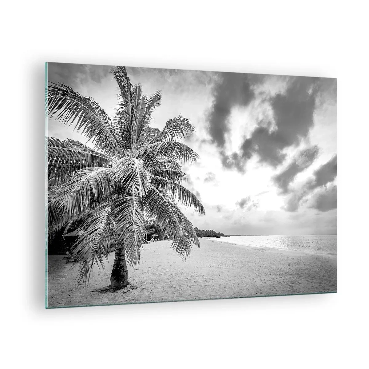 Obraz na szkle - Czarno-biała palma na pustej plaży o zachmurzonym niebie - 70x50cm - Gdy tęsknisz do samotności… - Nowoczesna dekoracja ścienna do salonu i sypialni ARTTOR