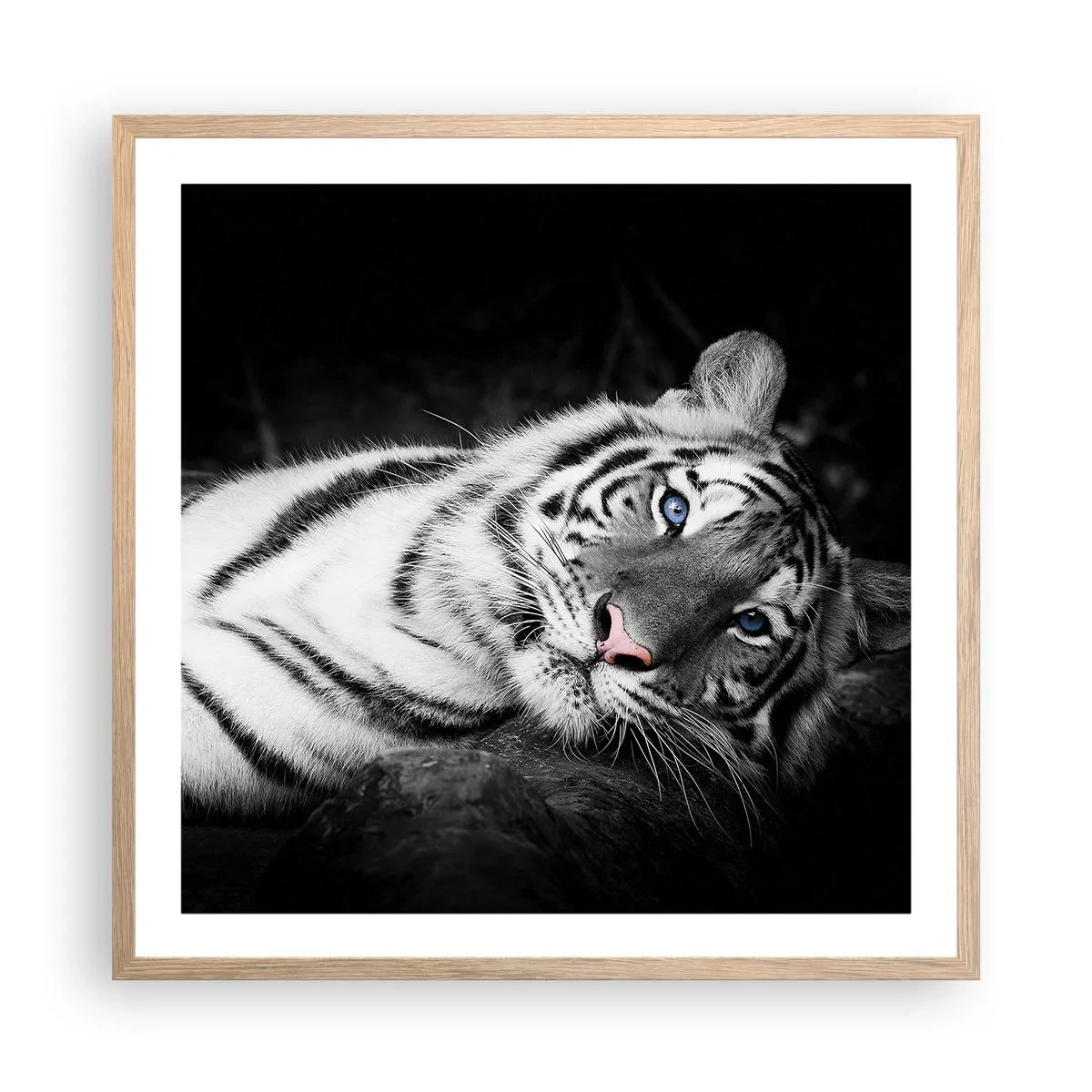 Plakat w ramie jasny dąb - Dzikość i spokój - 60x60 cm