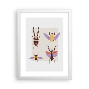 Plakat w białej ramie - Owadzi świat - 30x40 cm