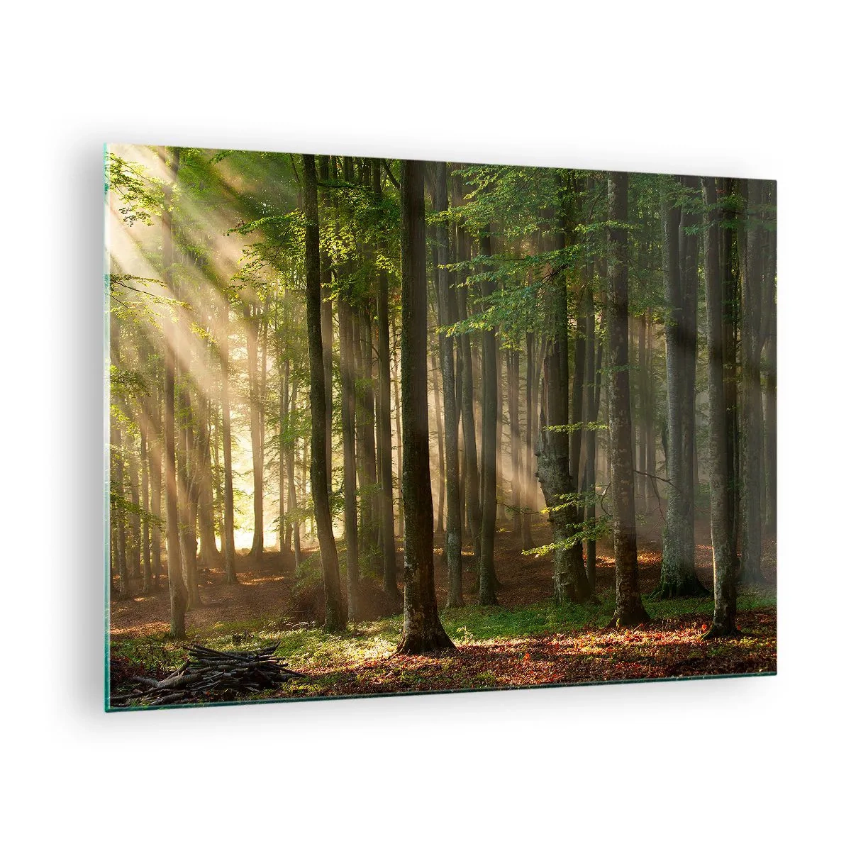 Obraz na szkle - Promienie słońca przebijające się przez drzewa w lesie - 70x50cm - Rozpromieniony w wiosenny poranek - Nowoczesna dekoracja ścienna do salonu i sypialni ARTTOR